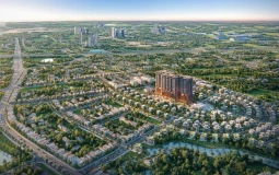 Legacy Hinoiri và bài toán cho thuê tại Hòa Lạc: Nhu cầu thật - dòng tiền thật