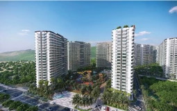 Serenity Phước Hải được phê duyệt quy hoạch 1/500 và hướng phát triển dự án theo nhu cầu thực