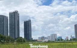 TPHCM xây dựng hệ số điều chỉnh bảng giá đất ra sao?