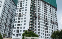 Doanh nghiệp ngoài ngành lấn sân làm bất động sản