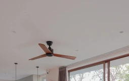 Không gian với góc nhà đầy hoa lá, tràn ngập ánh sáng