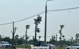 Đất nông thôn vùng quê bất ngờ 'sốt', ô tô đổ về kín đường