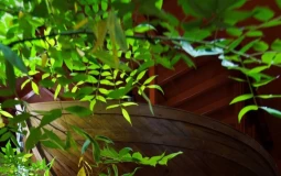 Ngôi nhà với cách sắp đặt không gian thú vị dùng cả chiếc thuyền làm nội thất