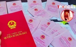 Trong 5 ngày phải chuyển xử lý phản ánh vi phạm đất đai cho địa phương
