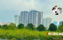 Hà Nội chốt hạn chót nộp hồ sơ chuyển đất vườn, ao sang đất ở là 1/1/2027