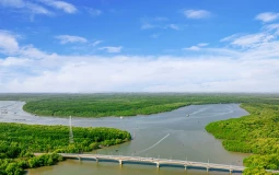 Hạt nhân của 'siêu bản đồ' du lịch miền Nam: Cần Giờ và giá trị không thể sao chép
