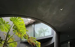 Ngôi nhà tông màu đen như 'ốc đảo' giữa lòng thành phố