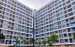 Đà Nẵng: Giá đất tăng vượt xa nhu cầu ở thực, cao nhất hơn 340 triệu đồng/m²
