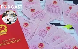 Hà Nội rà soát hoạt động toàn bộ sàn giao dịch BĐS