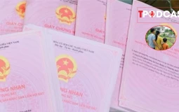 Sổ đỏ cấp sai diện tích nhưng đã chuyển nhượng, có bị thu hồi không?