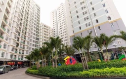 TPHCM xem xét cấp sổ cho người mua ô đậu xe ô tô ở chung cư