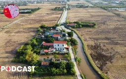 Chuyển đất lúa sang đất ở, có cần đánh giá môi trường?