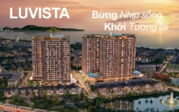 Công ty Cổ phần Xây dựng An Phú Gia (APGCONS) khẳng định năng lực tổng thầu tại dự án Luvista Quy Nhơn
