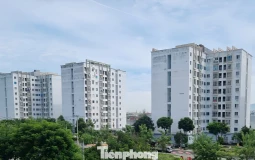 Đà Nẵng cho thuê nhà ở xã hội từ 54.000 đồng/m2/tháng