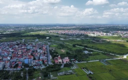 Đất lúa trong khu dân cư đã xây nhà có được chuyển sang đất ở?