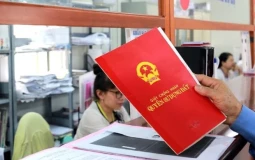 Số lượng sổ đỏ cấp lần đầu ở TPHCM giảm mạnh