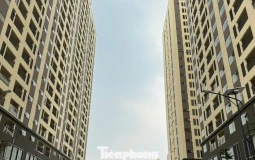 TPHCM kiến nghị loạt cơ chế để phát triển nhà ở xã hội, nhà cho thuê