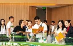 Vì sao nhiều người trẻ về khu Tây mua nhà ở thực