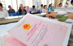 Vợ hoặc chồng chết, cha mẹ hai bên chuyển nhượng nhà đất có được miễn thuế?