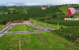 Chuyển mục đích một phần thửa đất có phải tách thửa?