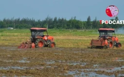 Có được thế chấp quyền sử dụng đất thuê trả tiền hằng năm?