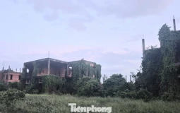 Dự án nghìn tỷ 'đắp chiếu', siêu đô thị thành… vườn sắn