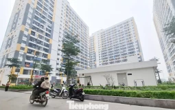 Bắc Ninh mở bán hơn 1.600 căn nhà ở xã hội, giá từ hơn 15 triệu đồng/m²