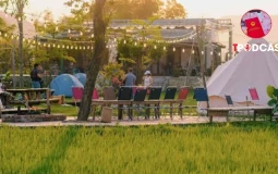Đất nông nghiệp kết hợp kinh doanh vẫn phải nộp thuế đất phi nông nghiệp