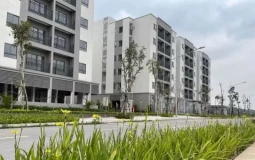 Đề nghị cắt bỏ khâu 'thẩm định và ra quyết định miễn tiền sử dụng đất' đối NƠXH