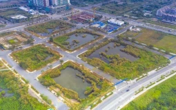 Điểm đặc biệt lô 'đất vàng' Thủ Thiêm đấu giá lại với khởi điểm gần 300 triệu/m2