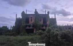 Đồng Nai cảnh báo tình trạng đầu cơ, làm giá nhà đất đón quy hoạch