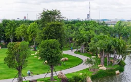 Không gian sống và cơ hội vận động của trẻ em thành thị