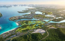 Tâm mạch The Sunrise Bay: Nơi bốn dòng chảy toàn cầu hội tụ bên vịnh di sản