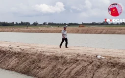 Xác định loại đất theo Giấy chứng nhận, không theo hiện trạng