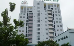Lợi nhuận doanh nghiệp bất động sản 'bốc hơi' hơn 80% sau soát xét