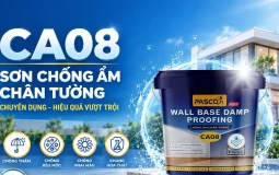 Pasco ra mắt CA08 - giải pháp mới cho nỗi lo ẩm chân tường trong công trình Việt
