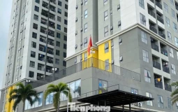 TPHCM: Hơn 373 dự án nhà ở được tháo gỡ vướng sổ hồng