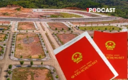 Cách xử lý hai sổ đỏ liền kề bị ghi sai số thửa và diện tích