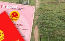 Chuyển nhượng đất nông nghiệp trước thu hồi, chủ đất mới có được hỗ trợ?