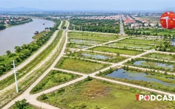 Đất bỏ hoang bao lâu bị đánh thuế 0,2%?