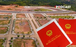 Điều kiện bồi thường khi chưa hoàn tất thủ tục chuyển nhượng đất