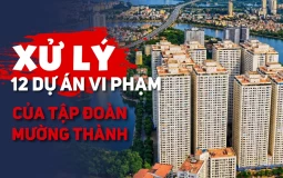 Xử lý 12 dự án vi phạm của Tập đoàn Mường Thành: Chủ đầu tư phải nộp và chi trả những khoản nào?