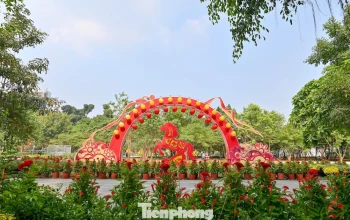 Tận thấy công viên đầu tiên được xây trên 'đất vàng' bỏ hoang ở TPHCM