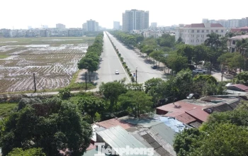 Hà Nội xây 1.166 căn hộ cho thuê tại phường Việt Hưng