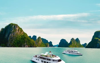 Tour hot mùa hè 2026: Trải nghiệm “Thiên đường hoang sơ” cùng hải trình “The Beauty of Vân Đồn”