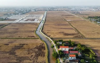 Đề xuất nâng mức đặt cọc đấu giá tối thiểu lên 20%: Kỳ vọng chặn 'cò' thổi giá đất