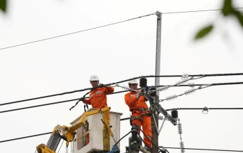 EVNHCMC cấp điện an toàn, ổn định dịp lễ Quốc khánh