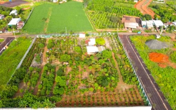Vì sao chưa thu hồi được hơn 15 tỉ đồng tiền cọc đấu giá đất tại Gia Lai?