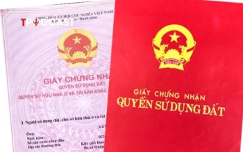 Quy định mới về thuế đất, người dân cần nhớ các mốc thời gian để tránh phát sinh nợ thuế
