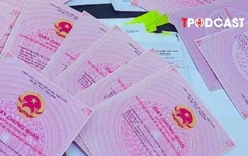 Sai sót trên sổ đỏ, đính chính hay đăng ký biến động?